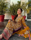 Evas Pakistani inspired 3-piece suit-252